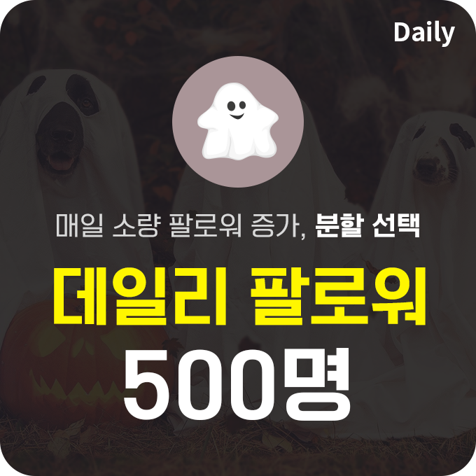 한국인 프로필 분할 인스타 팔로워 늘리기(유령) - 500명 구매