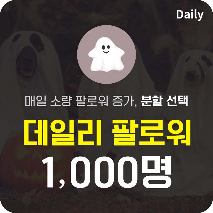 한국인 프로필 분할 인스타 팔로워 늘리기(유령) - 1,000명 구매